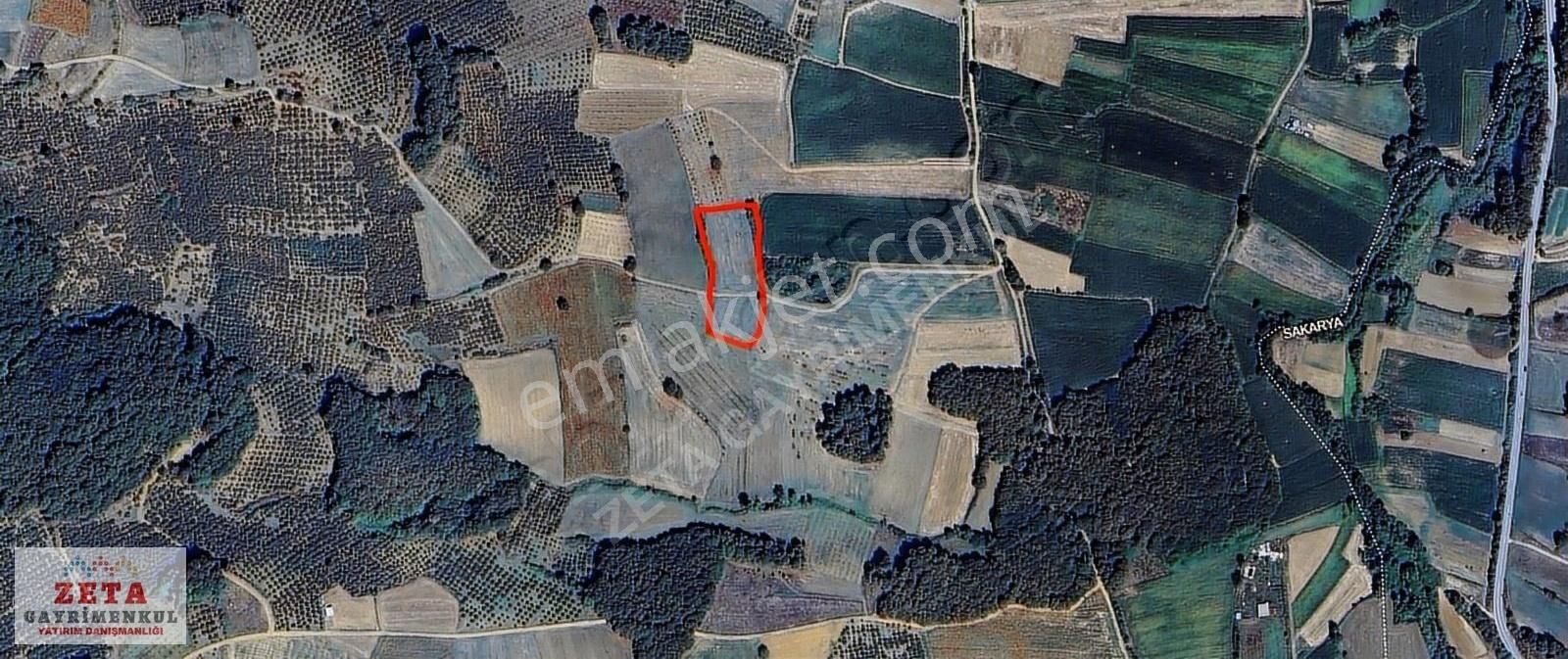 Kocaeli Kandıra Karlı'da 5.560 M2 Satılık Tarla - Görsel 3