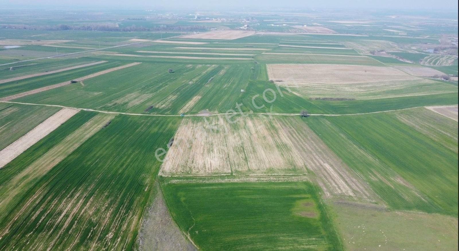 Lüleburgaz Düğüncübaşı Köyü Satılık Tarla Lüleburgaz Düğüncübaşı Resmi Yol 5.300 Mt Tarla Araba Takaslı