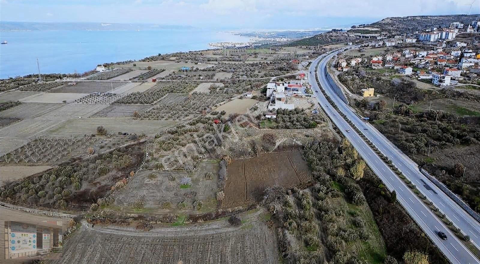 Çanakkale Merkez Erenköy Köyü (Merkez) Satılık Zeytinlik Çanakkale Merkezede Satılık Zeytinlik