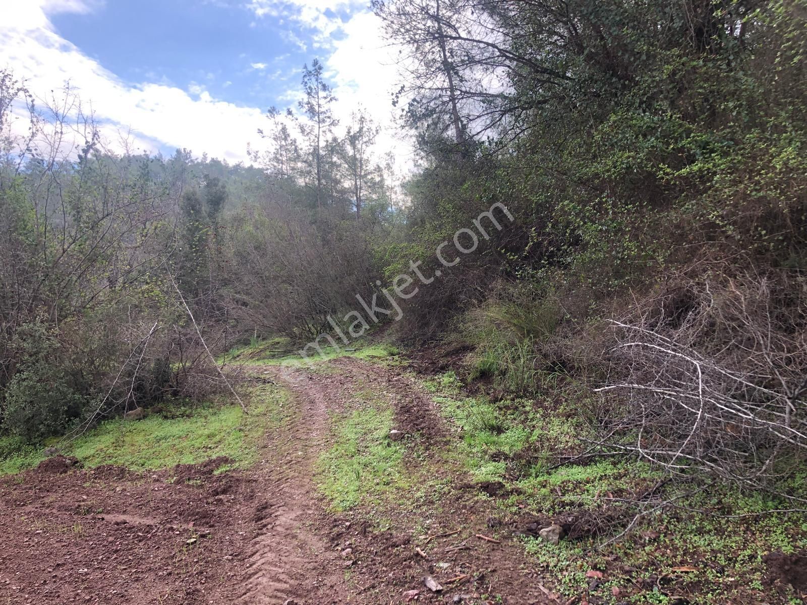 Muğla Ula Karbörtlen De Fırsat Arazi - Görsel 16