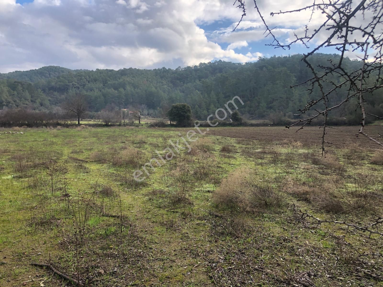 Muğla Ula Karbörtlen De Fırsat Arazi - Görsel 9