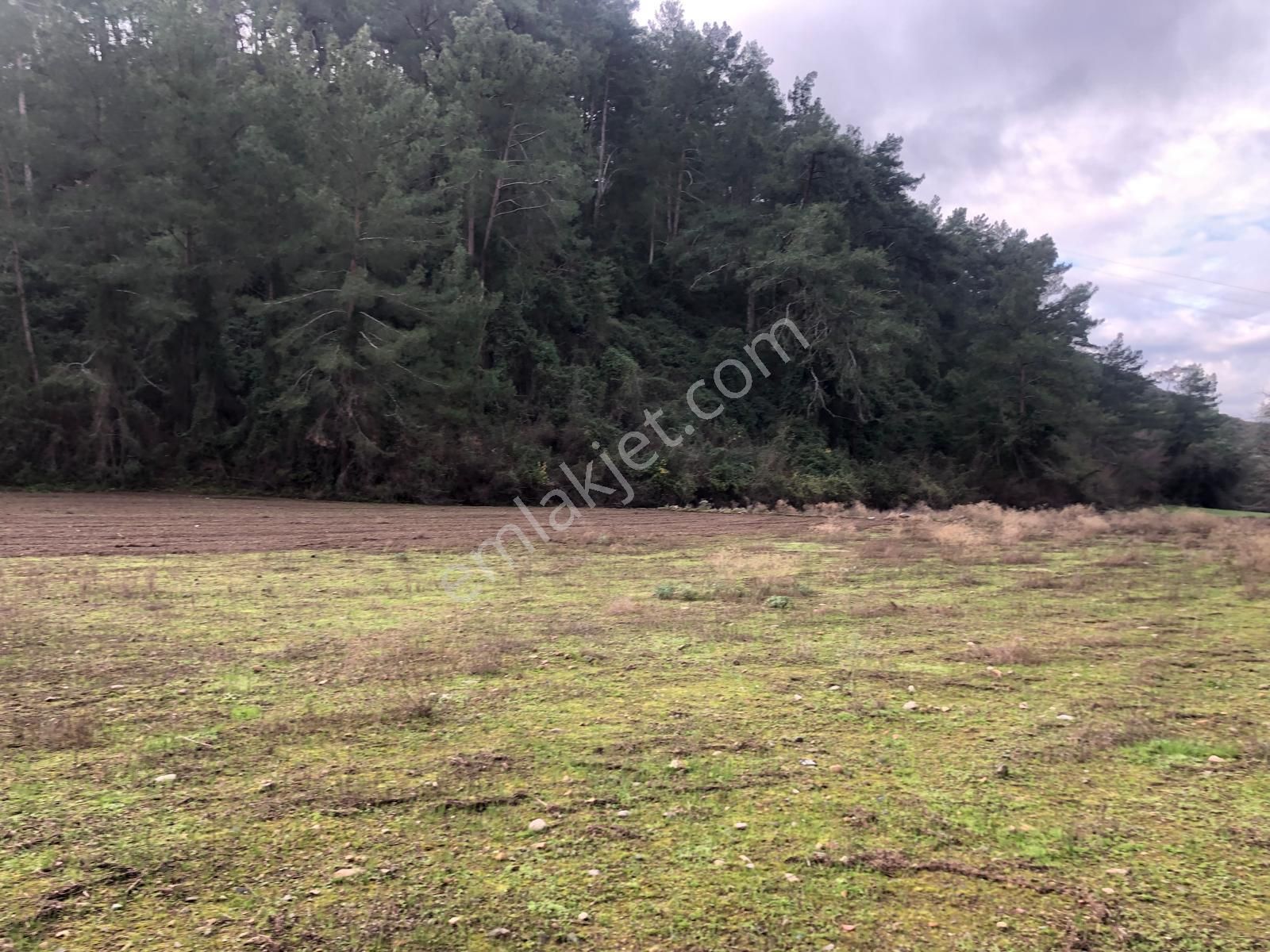 Muğla Ula Karbörtlen De Fırsat Arazi - Görsel 3