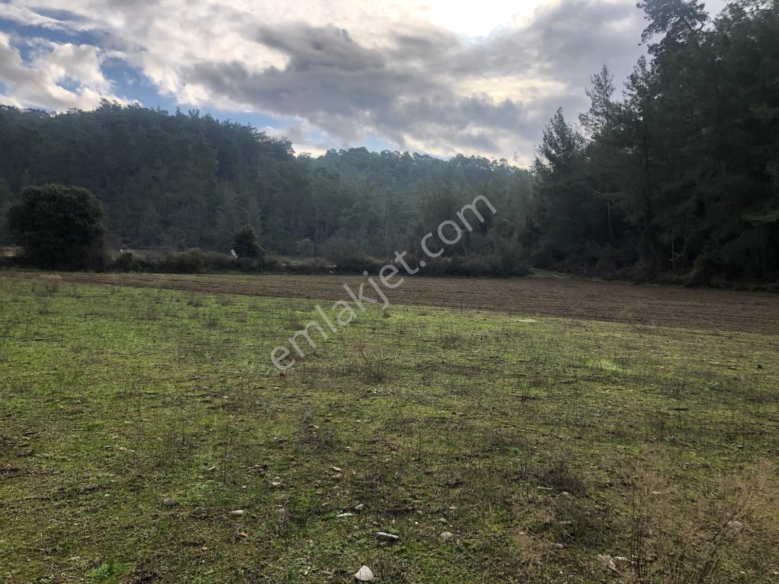 Muğla Ula Karbörtlen De Fırsat Arazi - Görsel 8