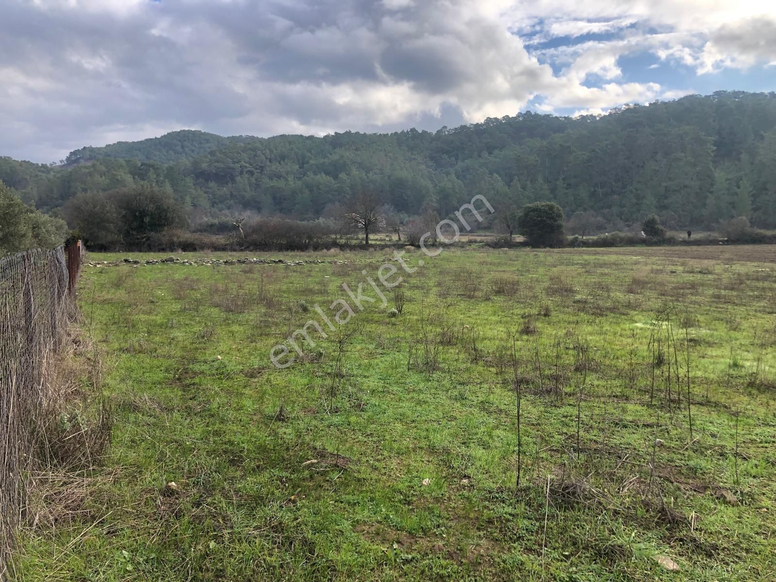 Muğla Ula Karbörtlen De Fırsat Arazi - Görsel 4