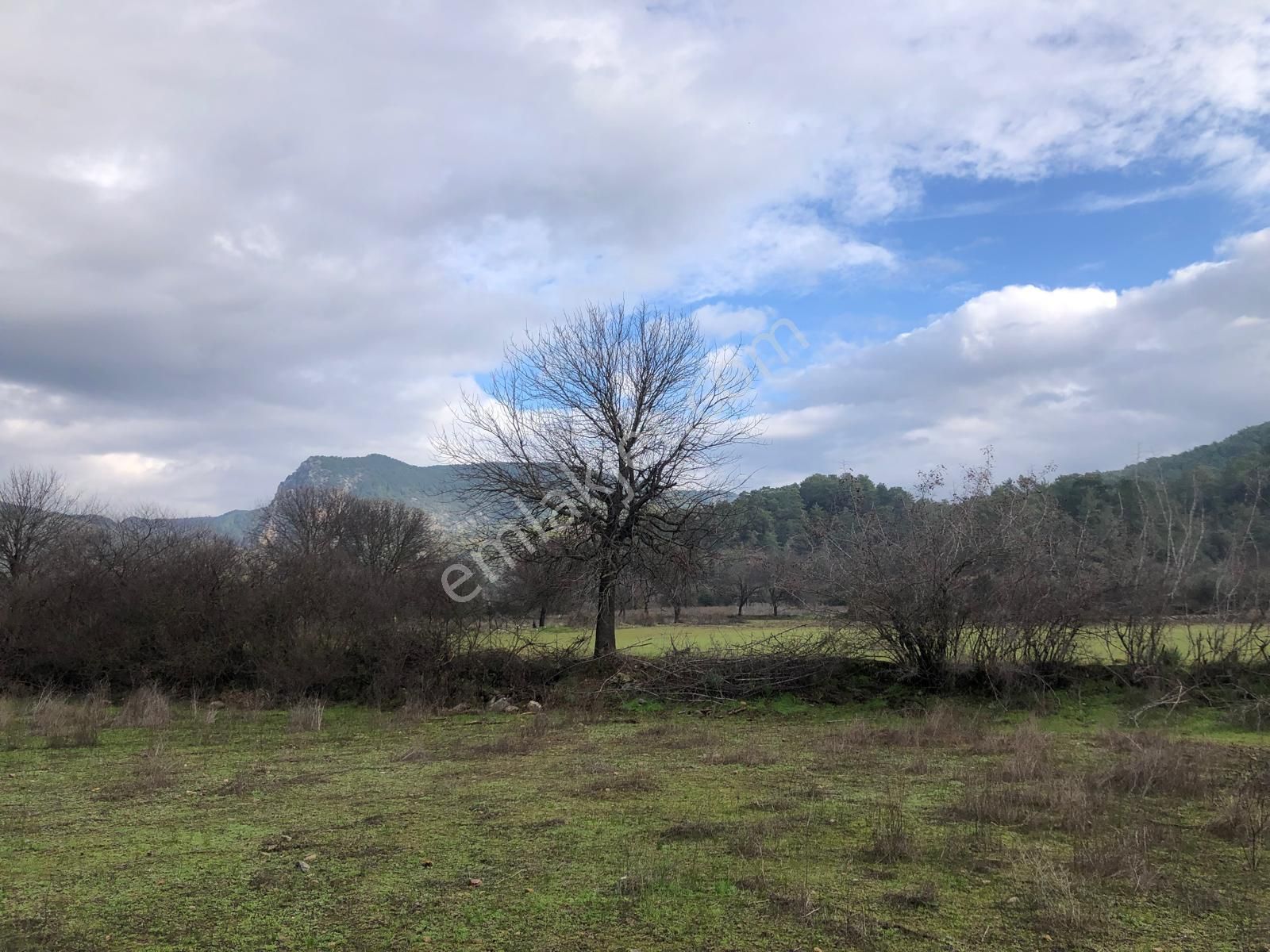 Muğla Ula Karbörtlen De Fırsat Arazi - Görsel 11