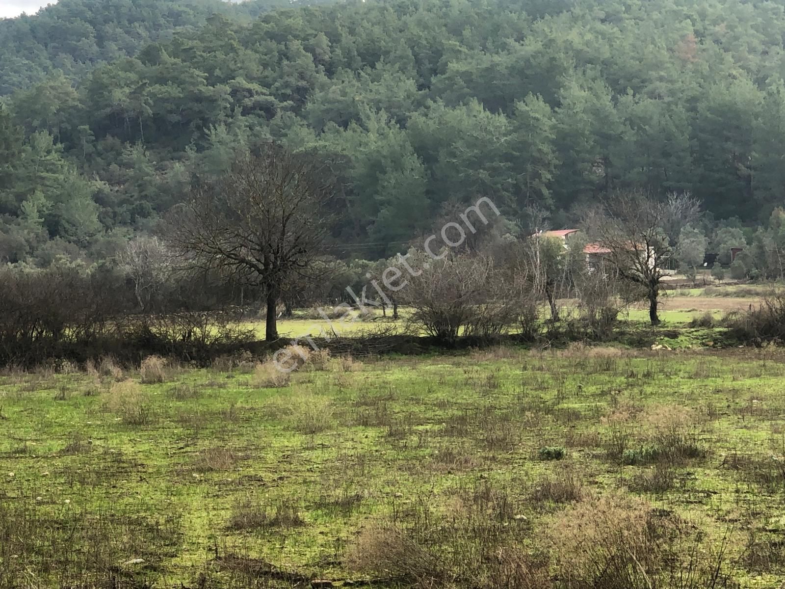 Muğla Ula Karbörtlen De Fırsat Arazi - Görsel 10