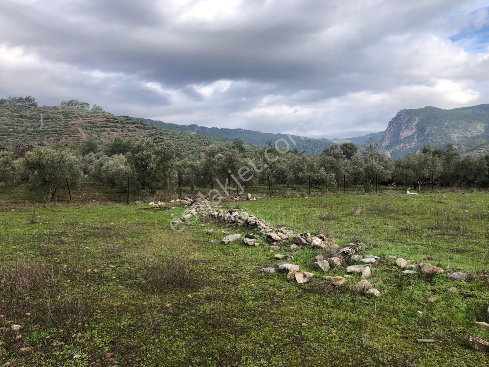 Muğla Ula Karbörtlen De Fırsat Arazi - Görsel 2