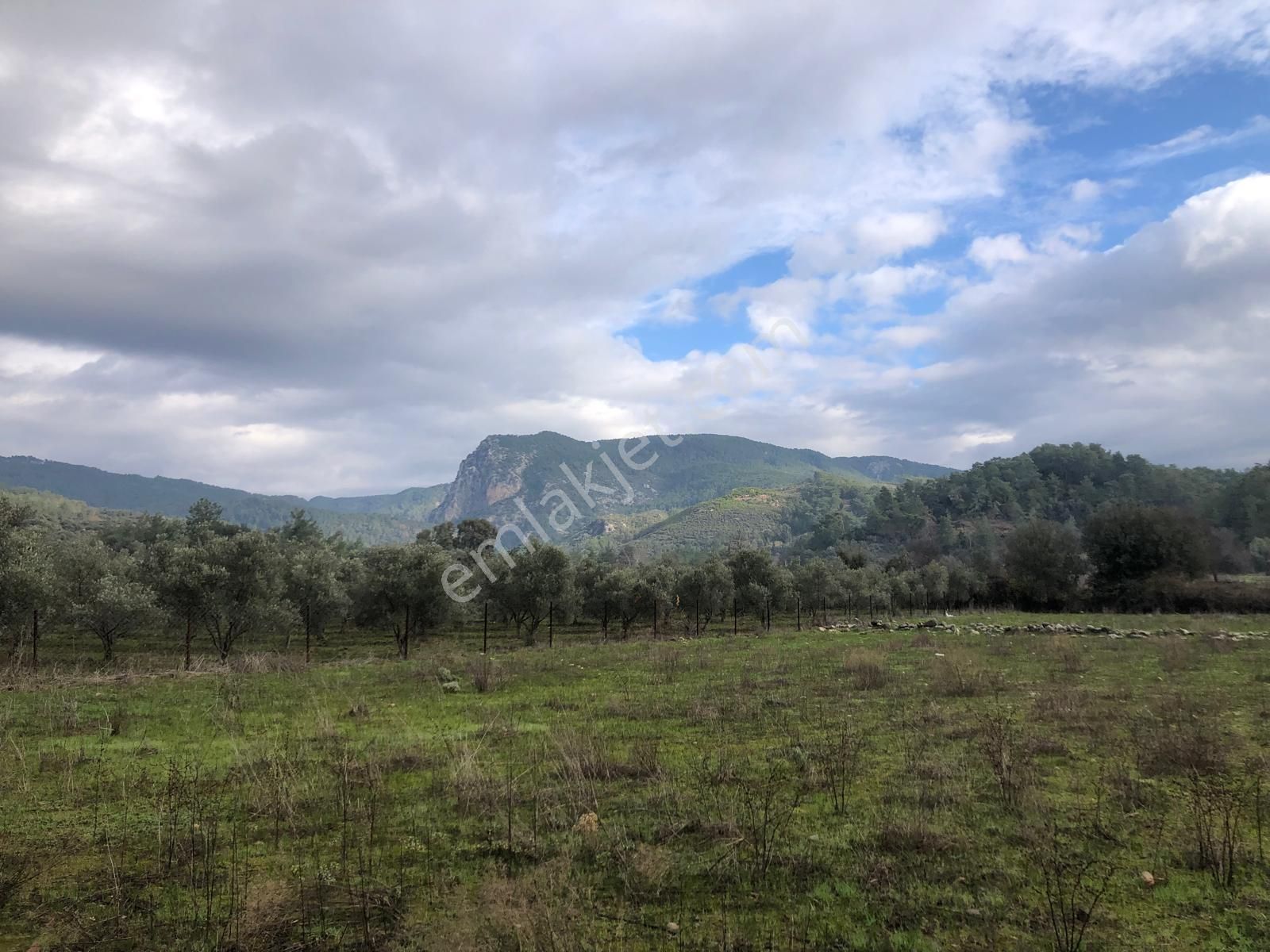 Muğla Ula Karbörtlen De Fırsat Arazi - Görsel 7