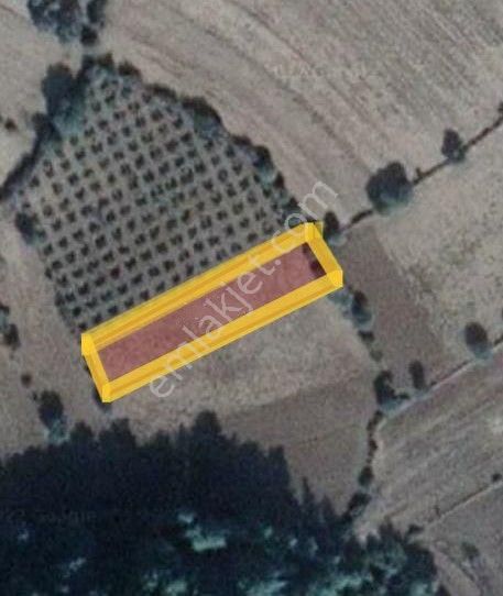 Muğla Ula Karbörtlen De Fırsat Arazi - Görsel 20