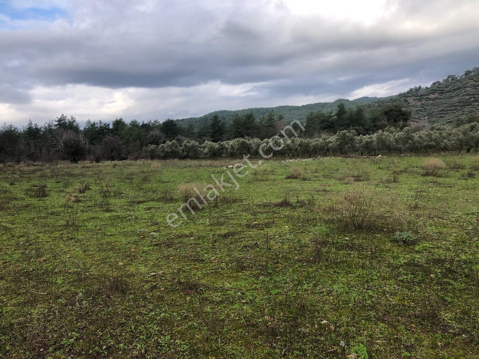 Muğla Ula Karbörtlen De Fırsat Arazi - Görsel 14