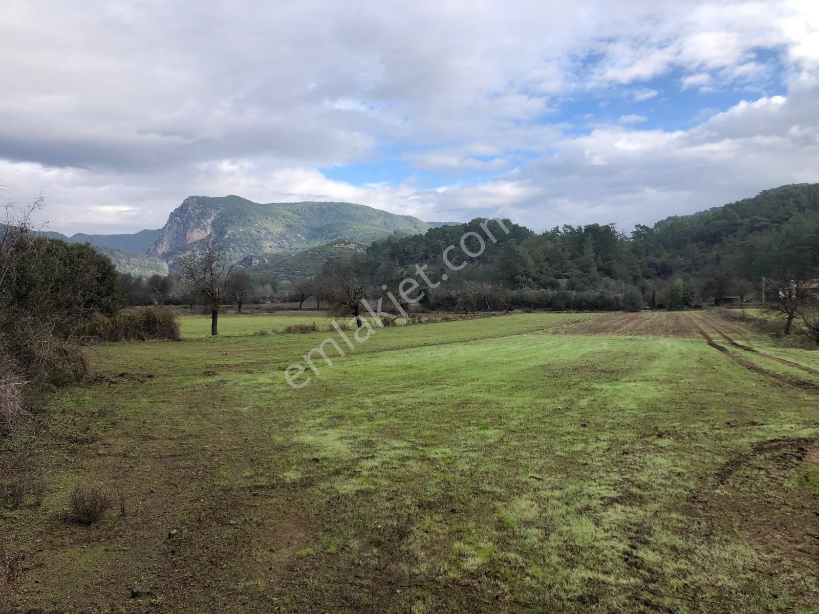 Muğla Ula Karbörtlen De Fırsat Arazi - Görsel 17