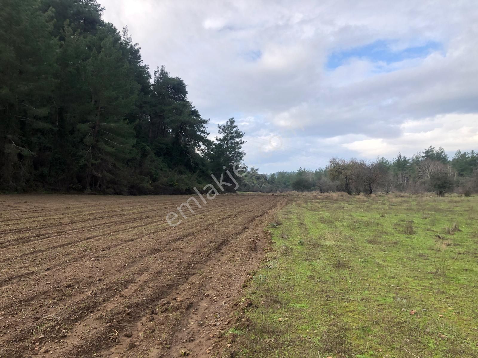 Muğla Ula Karbörtlen De Fırsat Arazi - Görsel 13