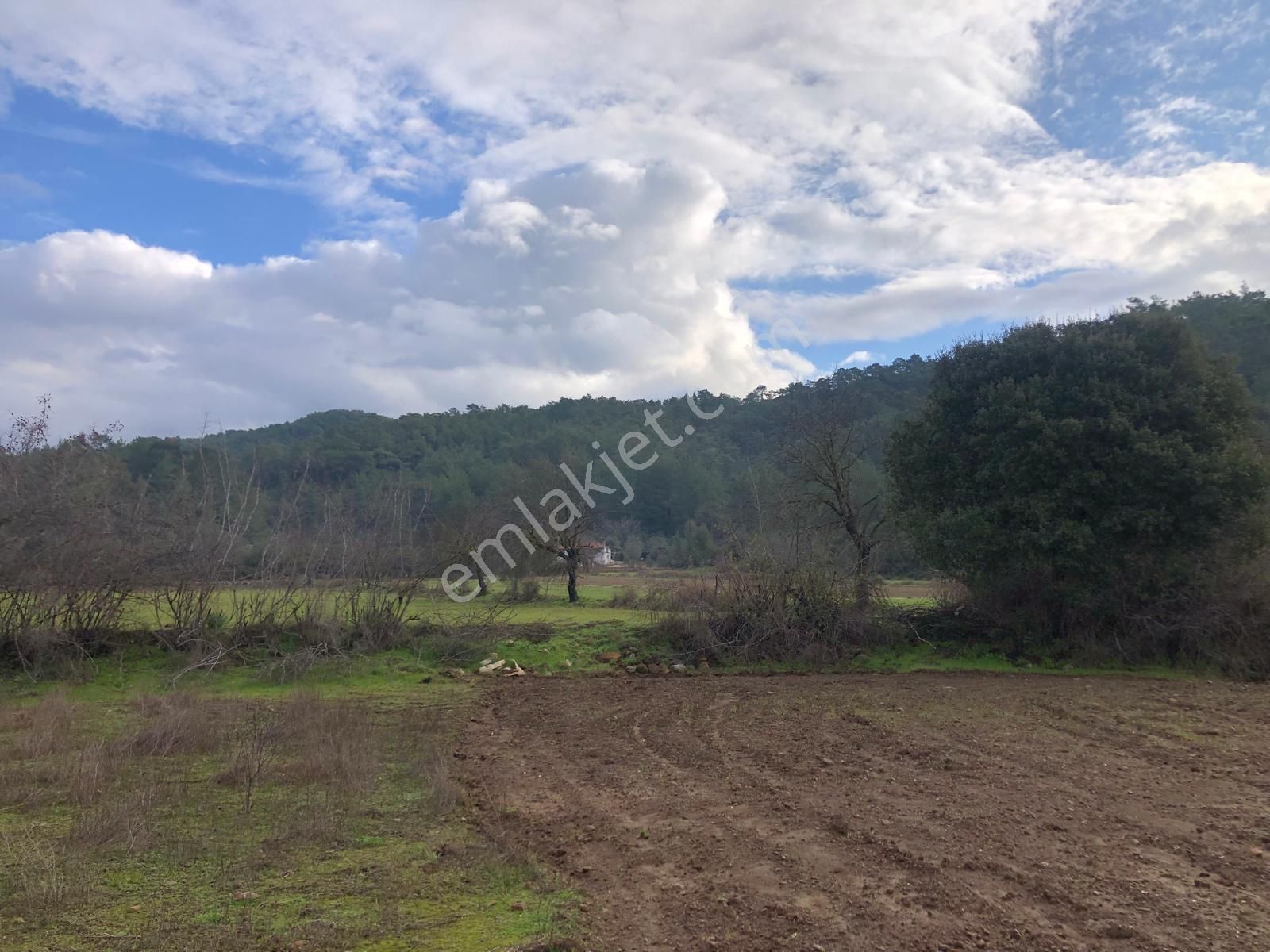 Muğla Ula Karbörtlen De Fırsat Arazi - Görsel 12