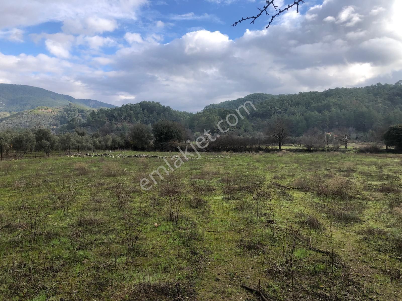 Muğla Ula Karbörtlen De Fırsat Arazi - Görsel 19