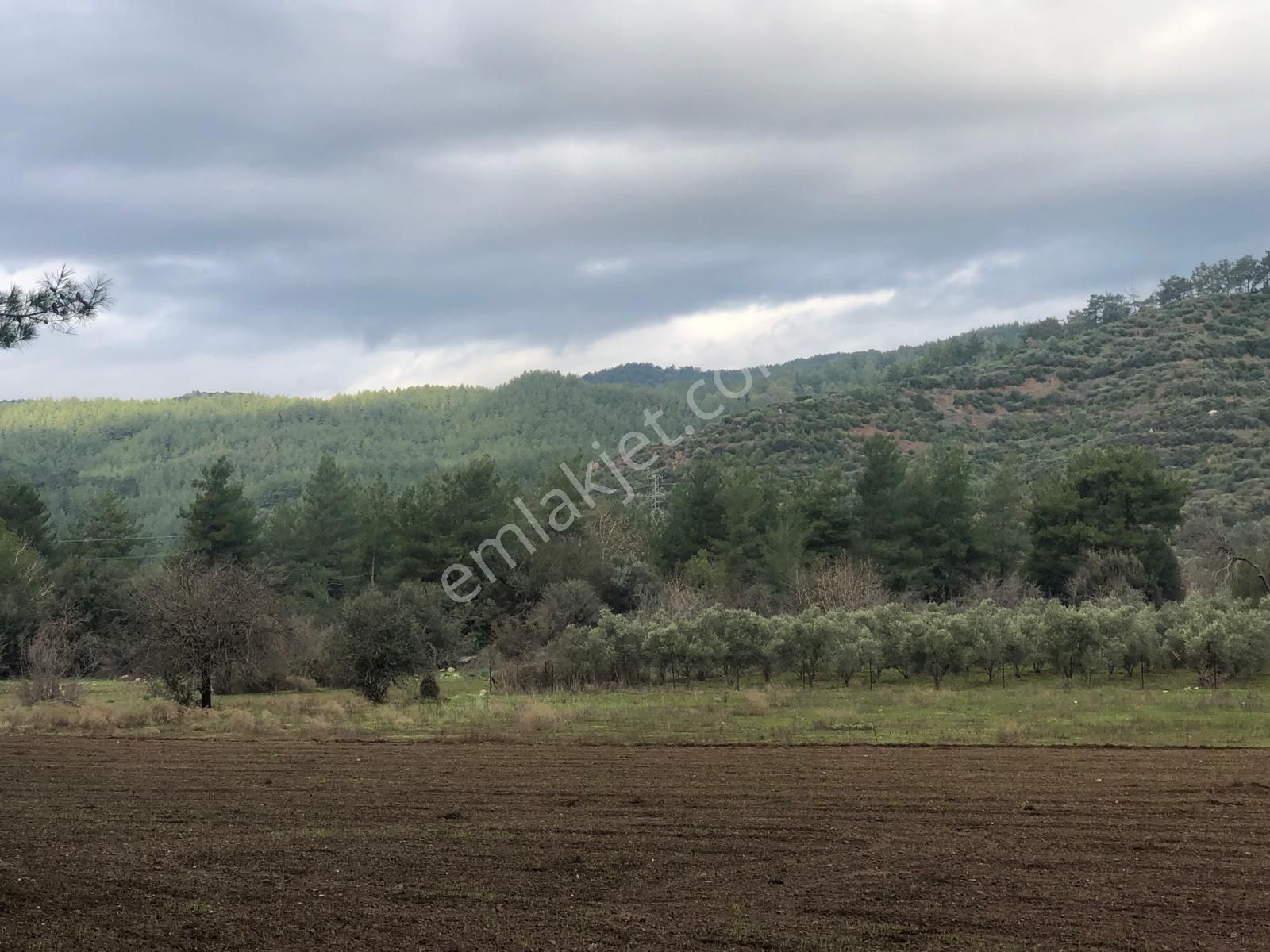 Muğla Ula Karbörtlen De Fırsat Arazi - Görsel 15