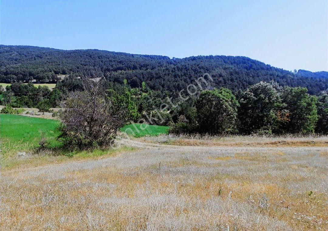 Taraklı İçdedeler Satılık Tarla Sakarya Taraklı İçdedeler De 1362 M2 Yatırımlık Tarla