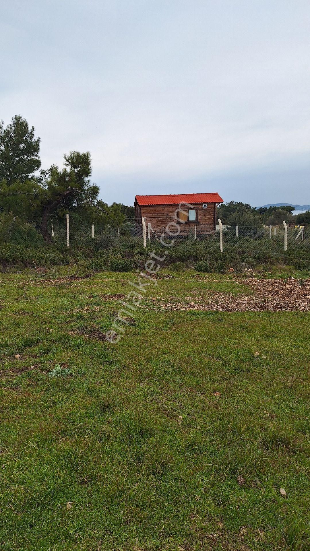 Urla Guvendik Deniz Manzaralı 226 M2 Arsa - Görsel 4