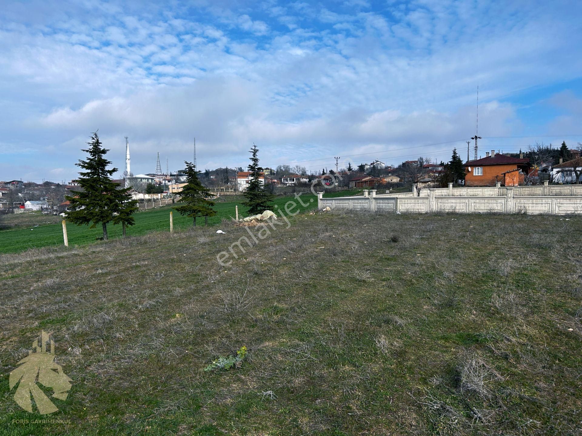 Kırklareli Merkez Demircihalil Köyü Satılık Konut İmarlı Kırklareli İli Merkez İlçesi Demircihalil Köyü %60 Konut İmarlı Arsa