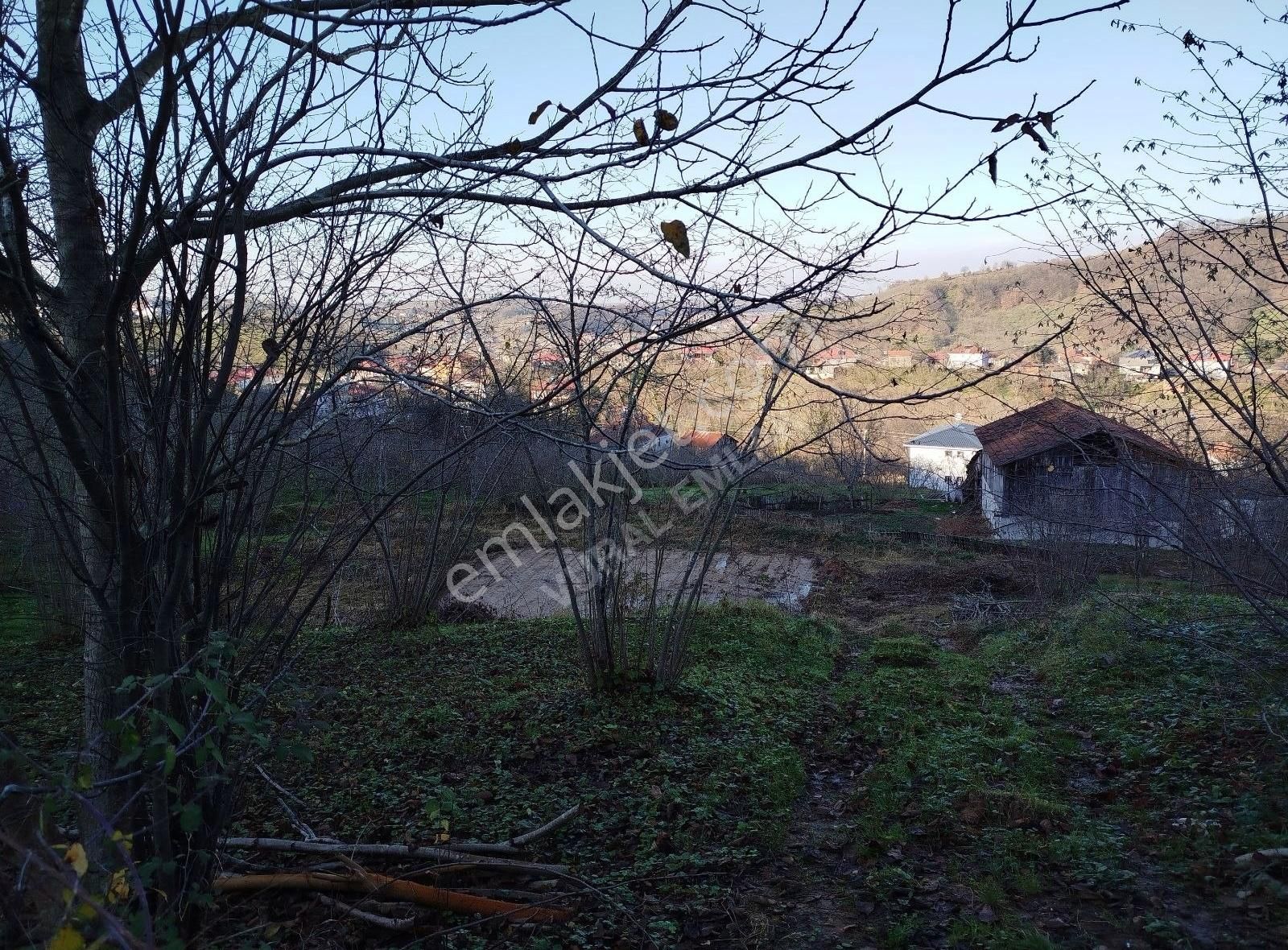 Akyazı Taşburun Satılık Konut İmarlı Vural Emlak'tan İmarlı Arsa