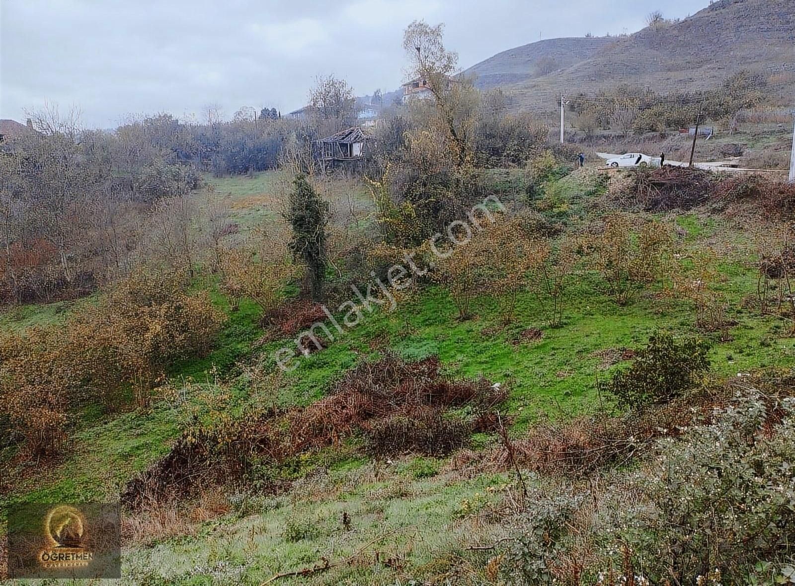 Yığılca Güney Köyü Satılık Konut İmarlı Öğretmen Gayrimenkul'den 1+1 Daire Takaslı Satılık Arsa