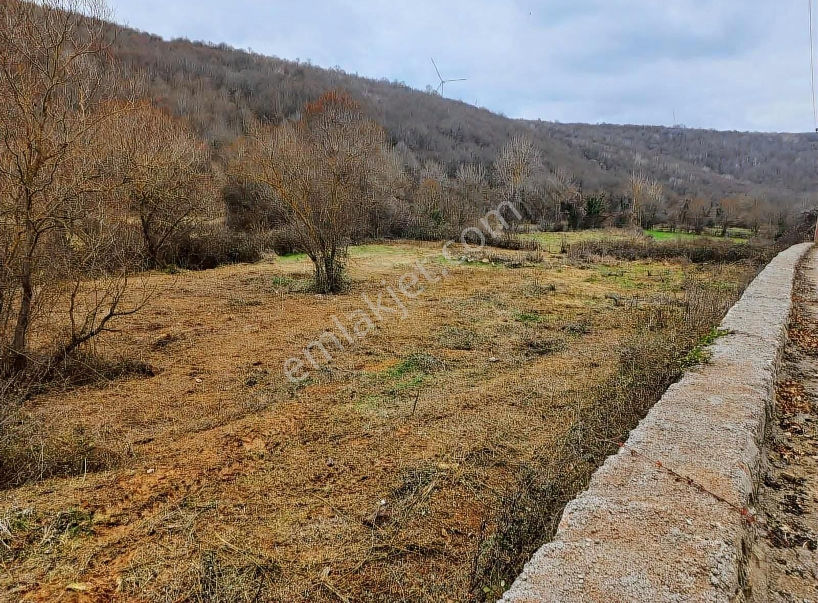 Kandıra Bağırganlı Satılık Tarla Bağırganlı'da Yola Cepheli Satılık Tarla