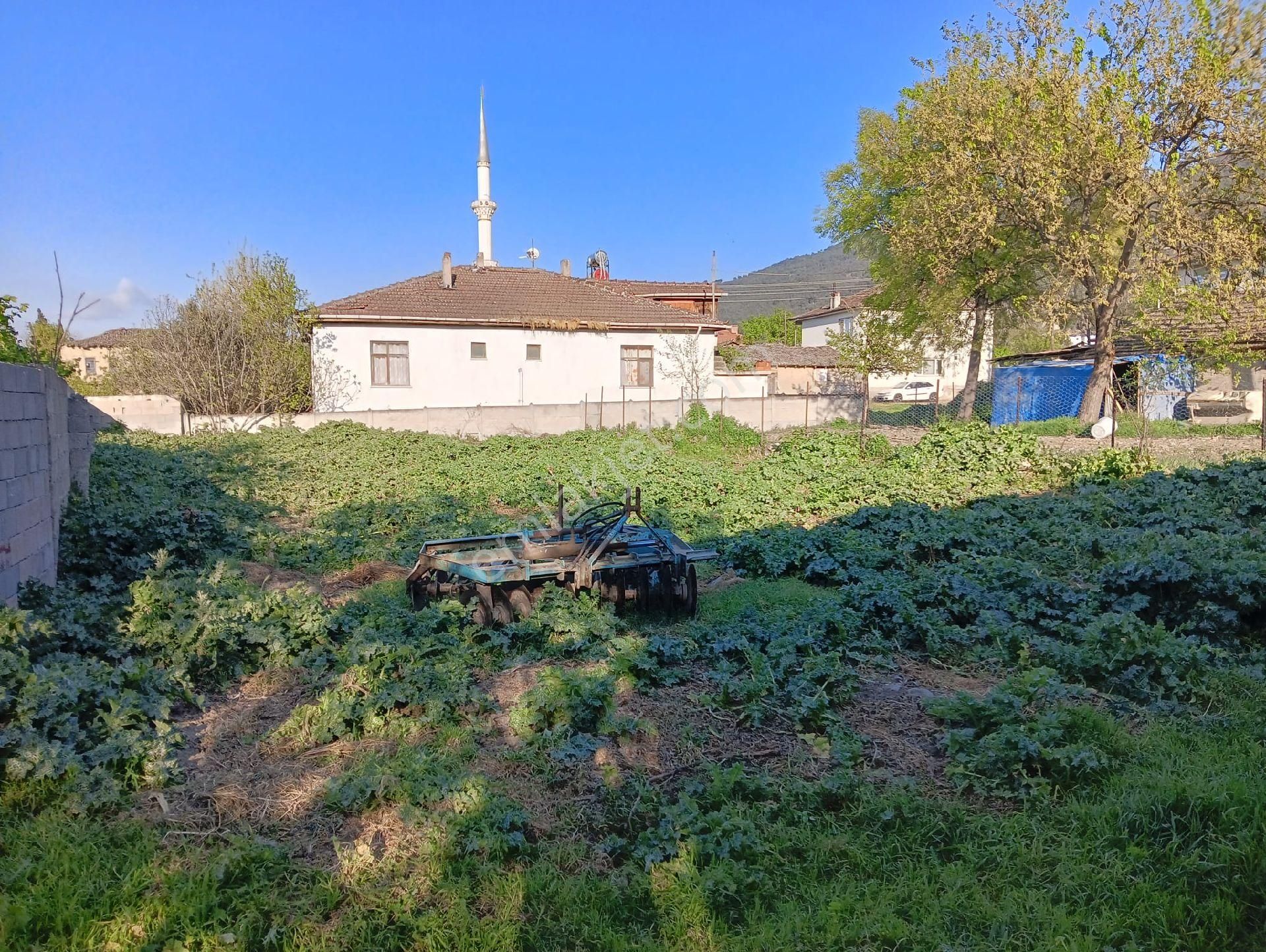 Geyve Kozan Satılık Konut İmarlı Geyve Kozan Mahallesi İmarli