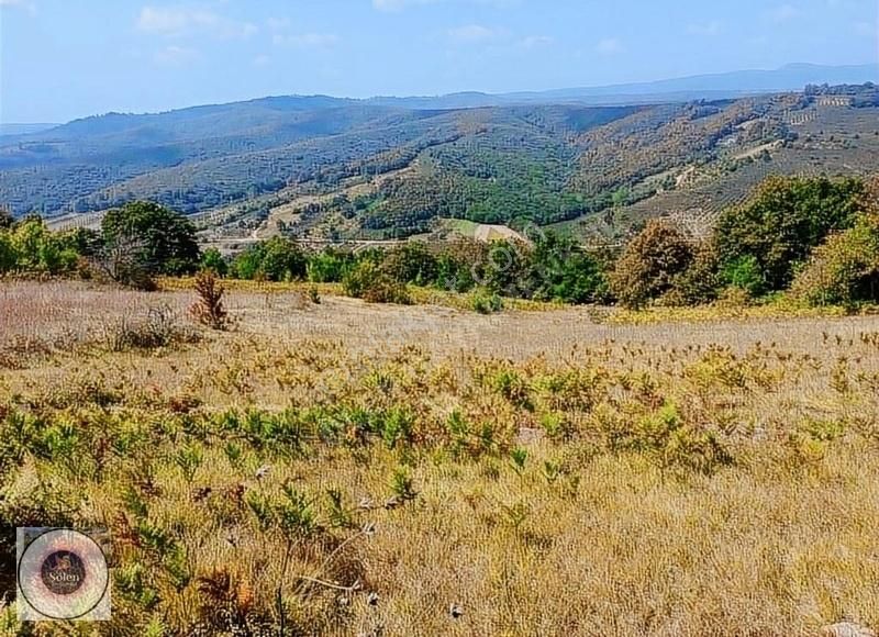 Kütahya Merkez Meydan Satılık Tarla Kütahya Merkez Kükürt Köyü'nde Satılık Tarla