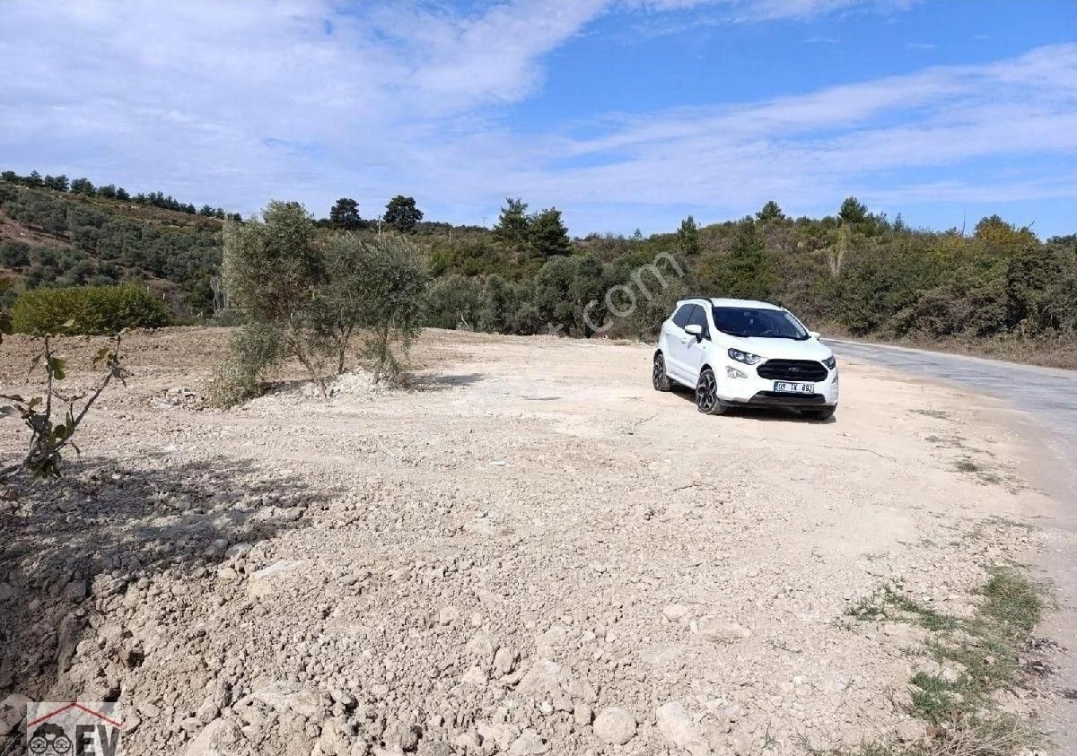 Kuşadası Camikebir Satılık Bağ & Bahçe Kuşadası Çınar Köyde Yol Üzerinde Bahçe