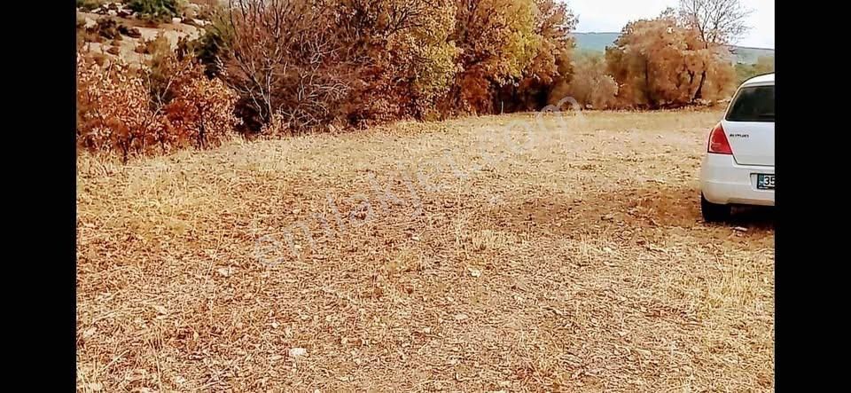 Uşak Merkez Selvioğlu Köyü (Karabacaklar) Satılık Tarla Uşak Merkez Selvioğlu'nda 2.sınıf Taşınmaz