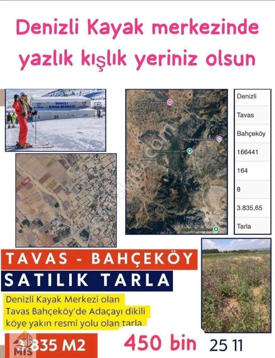 Tavas Bahçeköy Satılık Tarla Tavas Bahçeköy’de 3880 M2 Köye Yakın Adaçayı Bahçesi