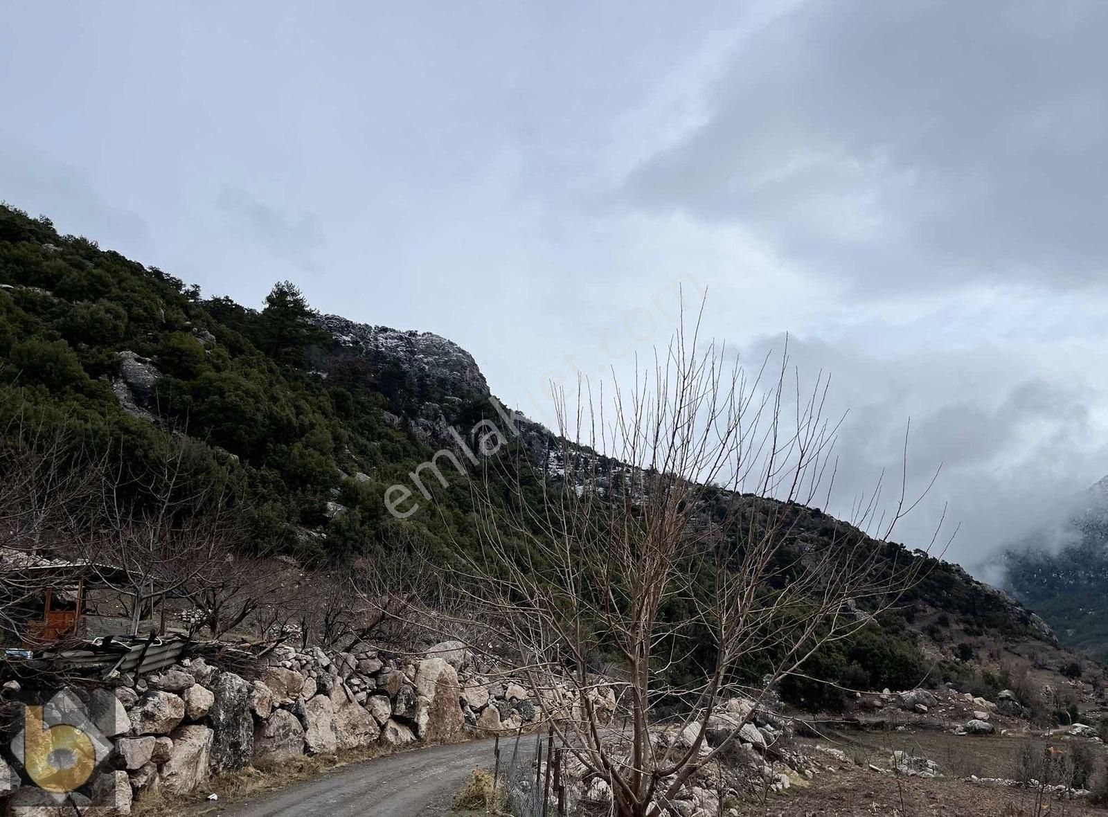 Seydikemer Çökek'te 1846m2 Tarla Ve Kargir Ev - Görsel 8