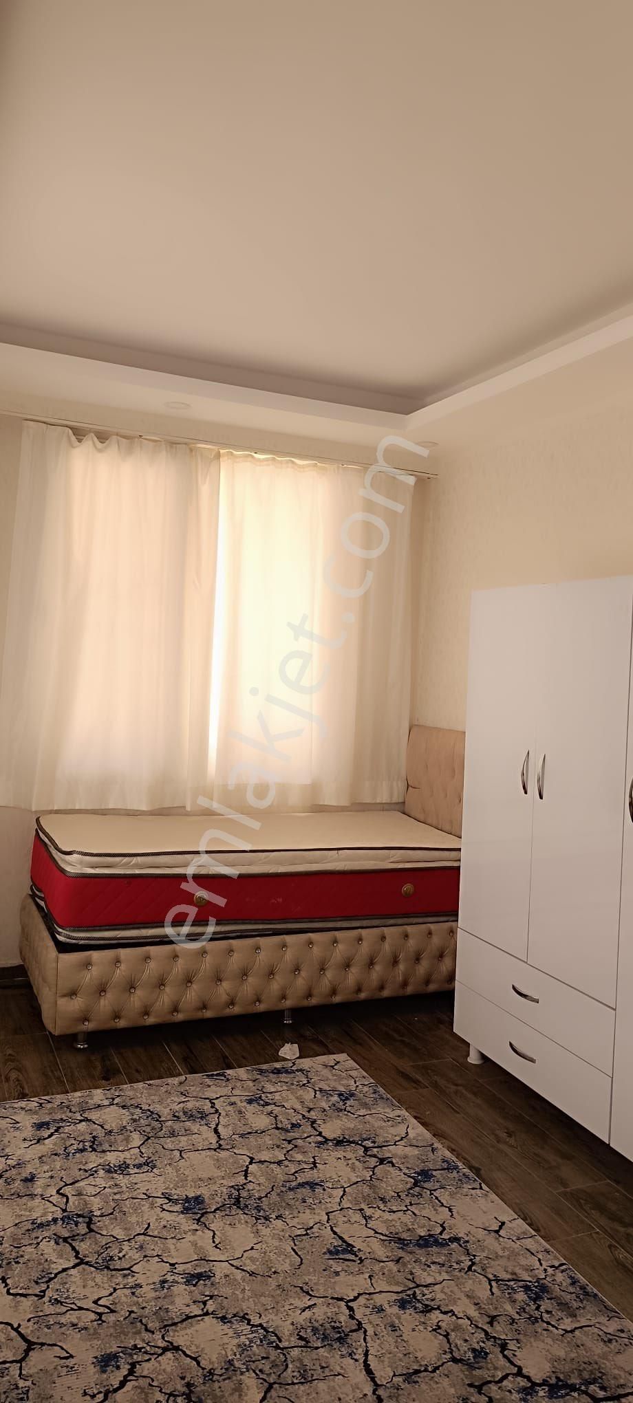 Haliliye Sırrın Kiralık Daire 2+0 Kiralık Daire Kullanıma Hazır Kirası Çok Uygun