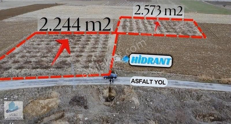 Çivril Akçaköy Satılık Tarla Yerli Gayrimenkul'den Anayol Üzeri Şeftali Bahçesi