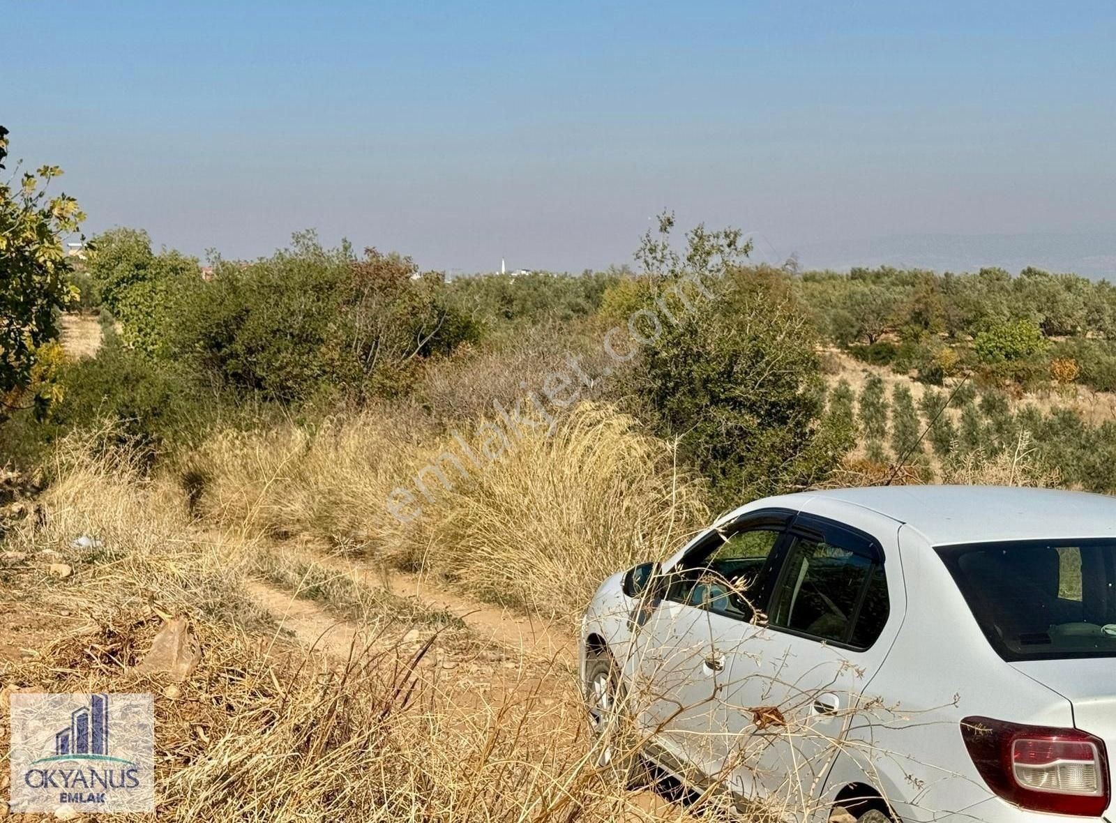 Şehzadeler Karaoğlanlı Satılık Tarla Karaoğlanlı Da 2.700 M2 Tarla , Köye 450 Mt , Resmi Yolu Var