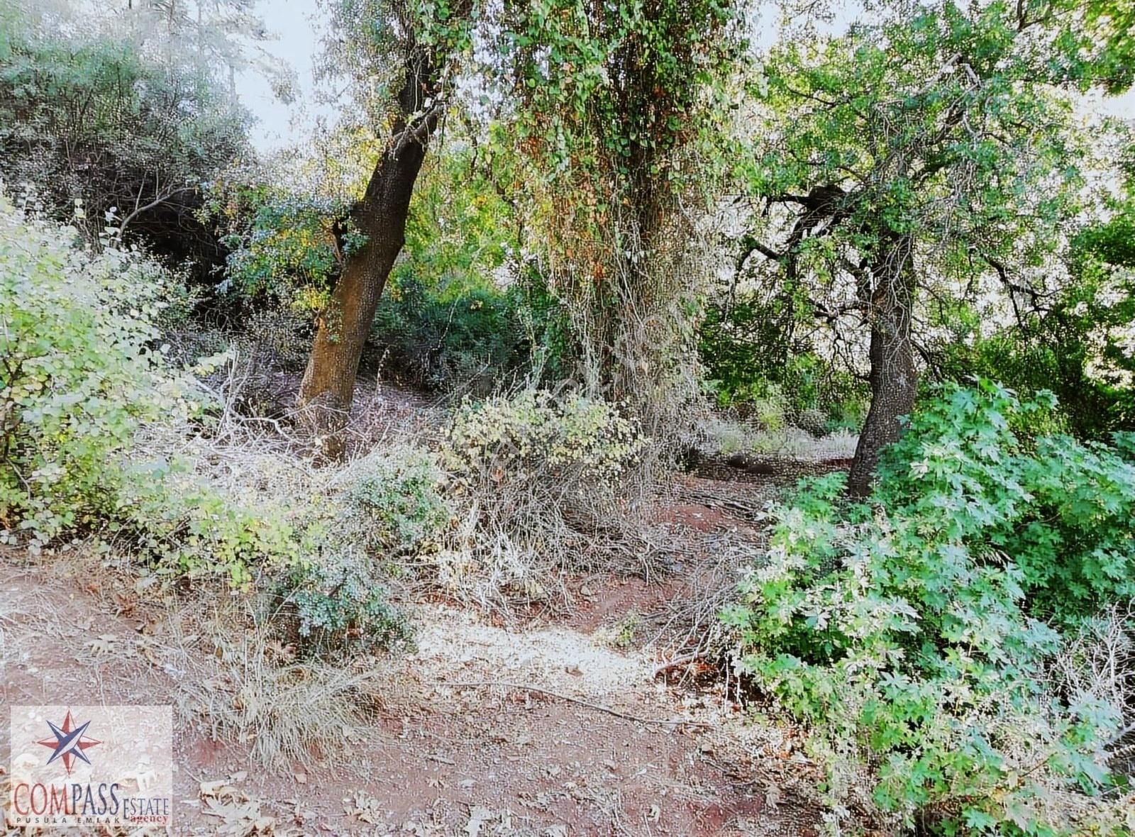 Marmaris Armutalan'da Satılık 1.650 M2 Harika Arsa - Görsel 2