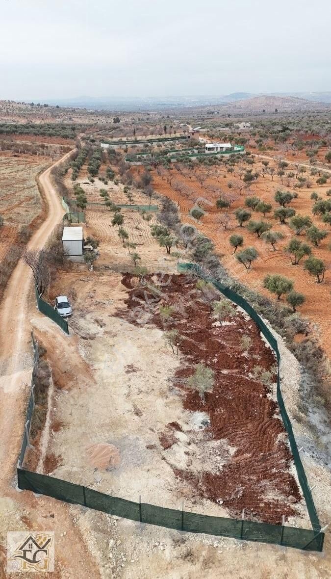 Oğuzeli Subaşı Satılık Bağ & Bahçe Oğuzeli Bağevlik Arazi 1 Dönüm Etrafı Çevrili Yol Üzeri