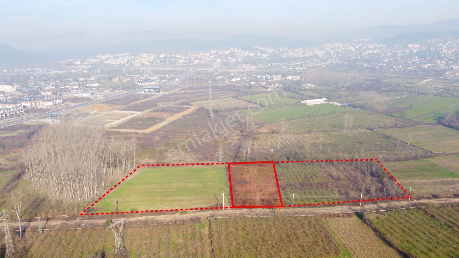 Düzce Merkez Kuyumcuhacıali Satılık Tarla Kuyumcuhacıali Mh.de İmar Sınırında 4.500 M2 Satılık Hisse