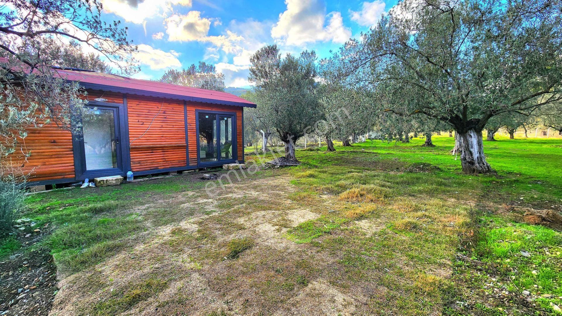 Edremit Dereli Köyünde Dereye Cepheli 3.500m2 İşletmeye Elverişli Kiralık Kamp Alanı