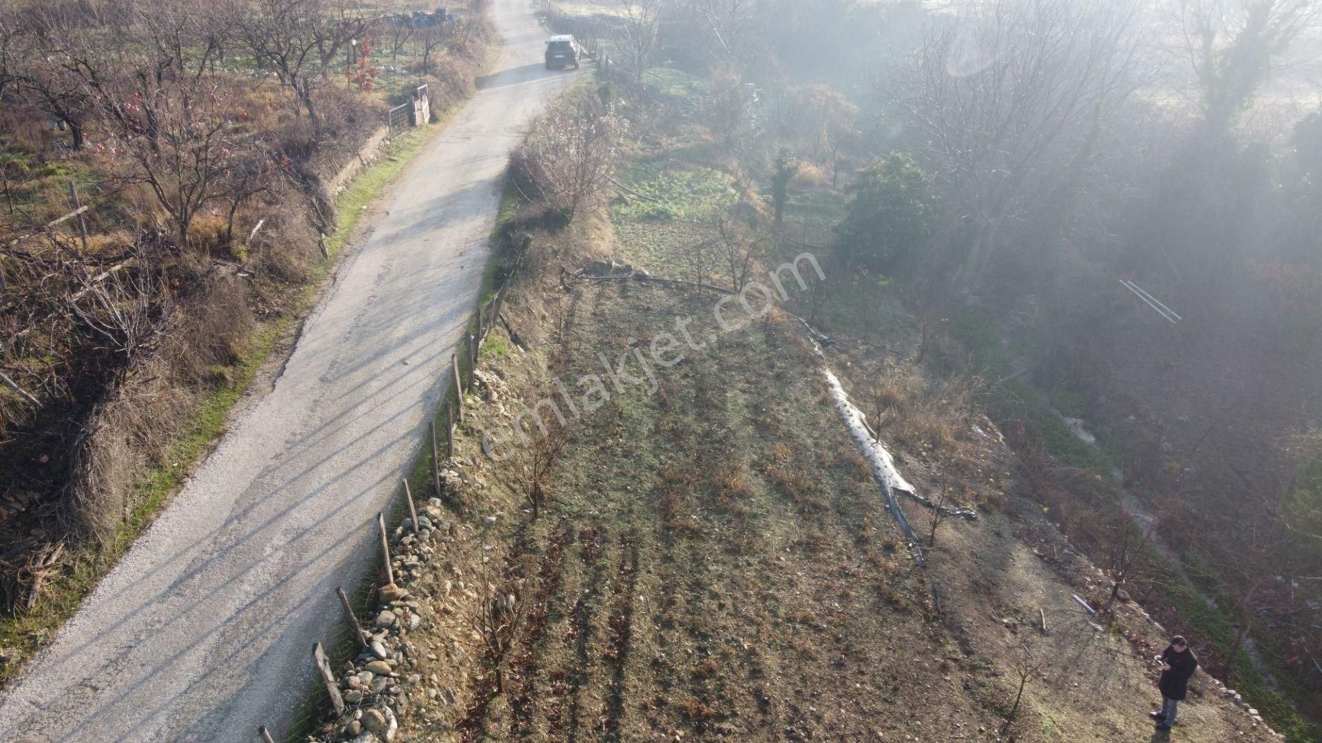 Bayramiç Evciler Köyü (Ayazma Yolu Üzeri) Satılık Konut İmarlı Bayramiç Ayazma Yolu Üzeri Evcilerde %40 2 Kat İmarlı Arsa