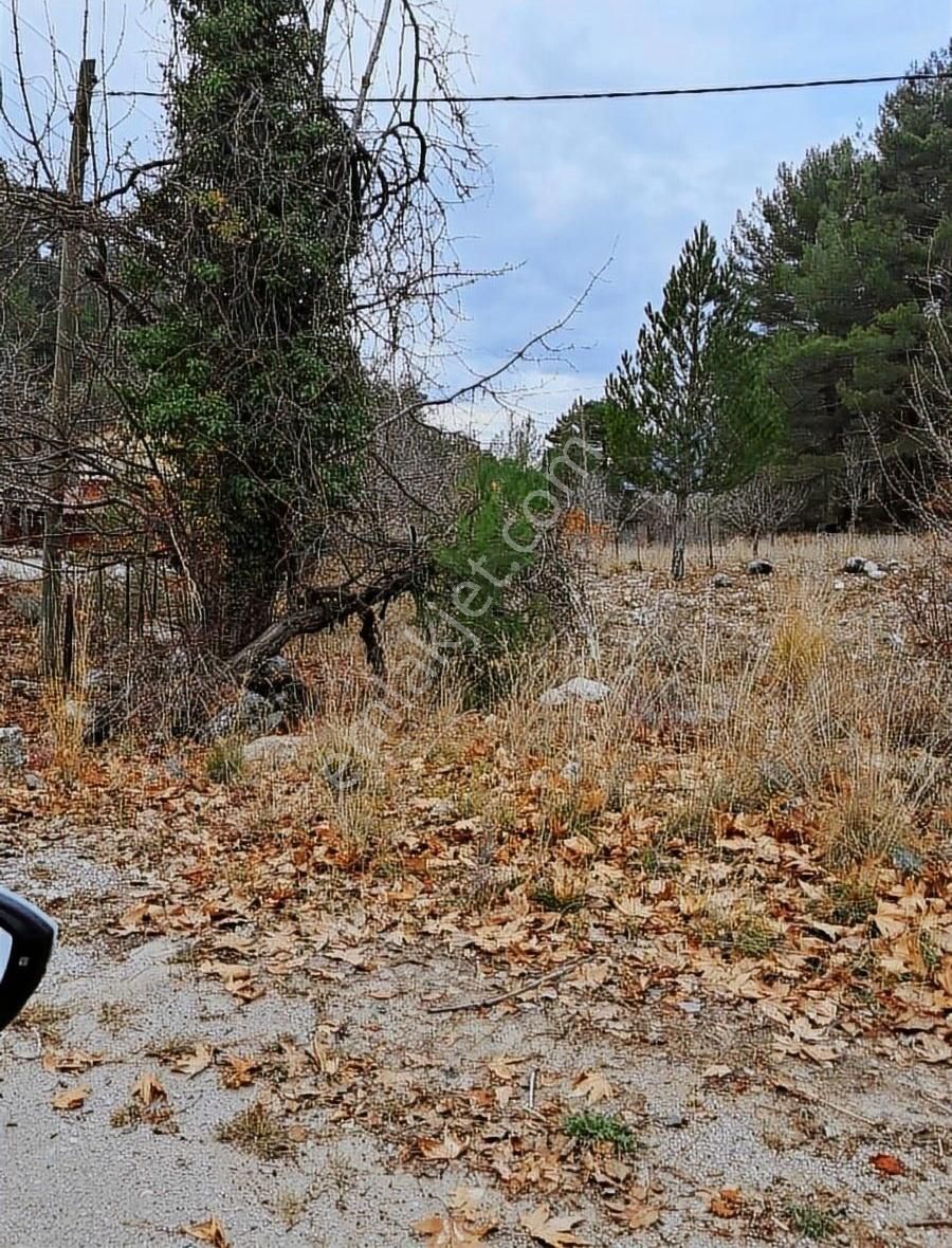 Fethiye Koruköy Satılık Tarla Yayla Koru'da Anayol Üzeri Hisseli 568m2 Tarla