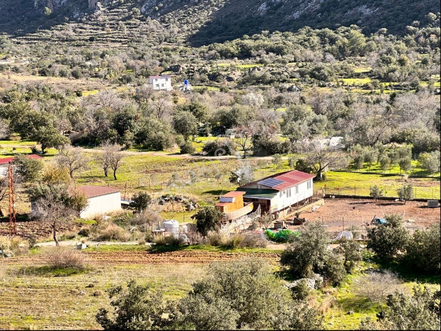 Marmaris Bozburun Satılık Tarla Lotus'tan Marmaris Bozburun'da Satılık 222 M2 Tarla Ve Müstakil Ev