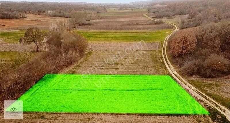 Babaeski Çavuşköy Köyü Satılık Tarla Babaeski Çavuşköyde 1015 M2 Tek Tapu Yola Cephe Tarla