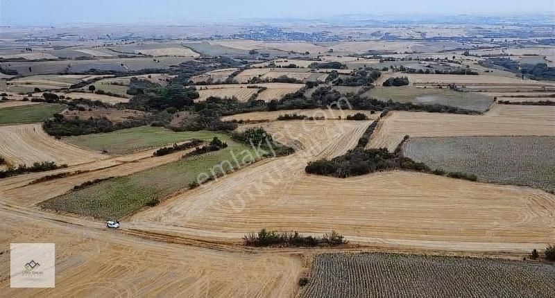 Havsa Necatiye Köyü Satılık Tarla Edirne Havsa Necatiye 2500 M2 Tek Tapu Bahçe Arazisi