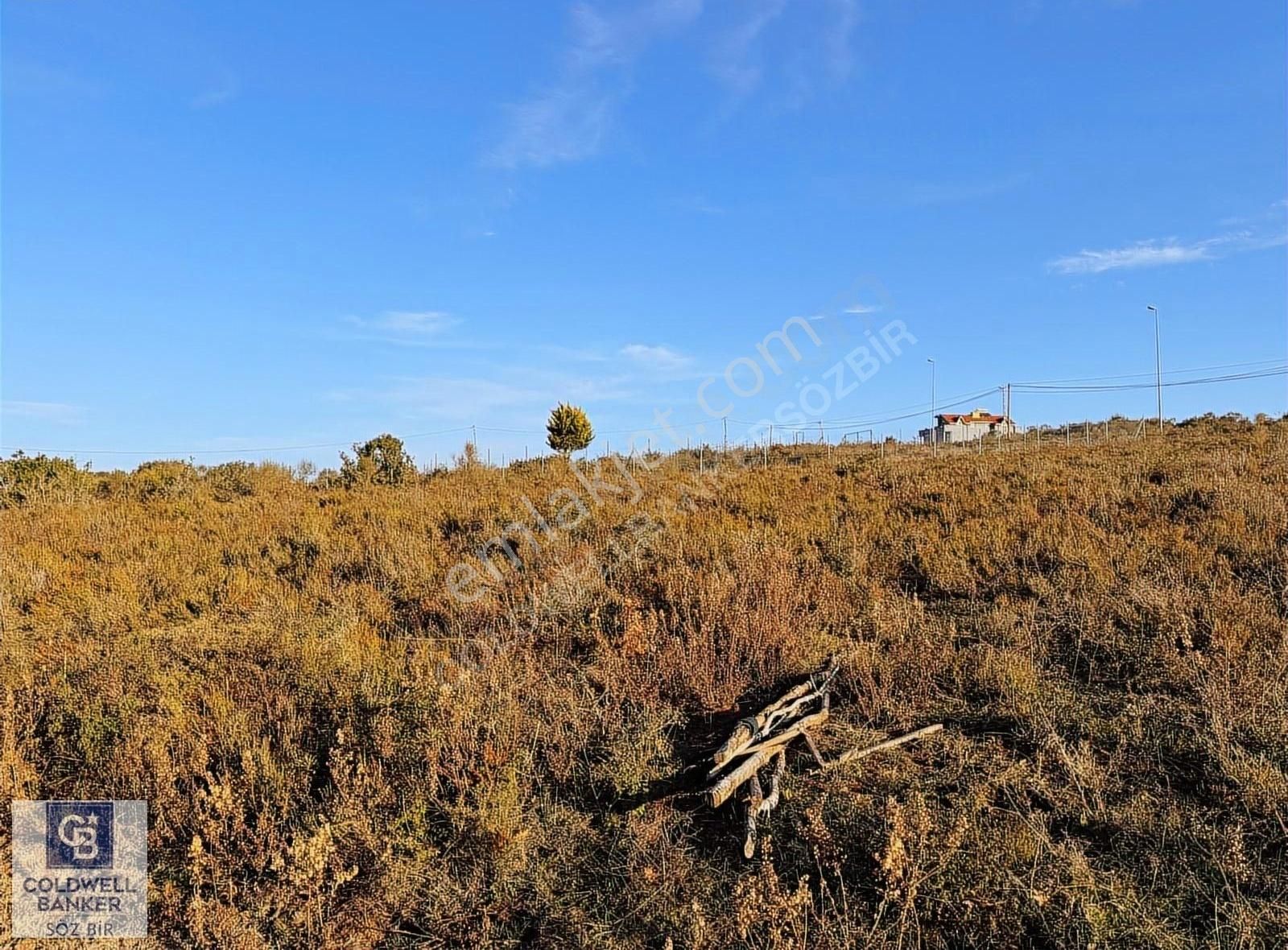 Beykoz Rivada Konut İmarlı 1754m2 İnşaat Alanı 570m2satılık Arsa - Görsel 33