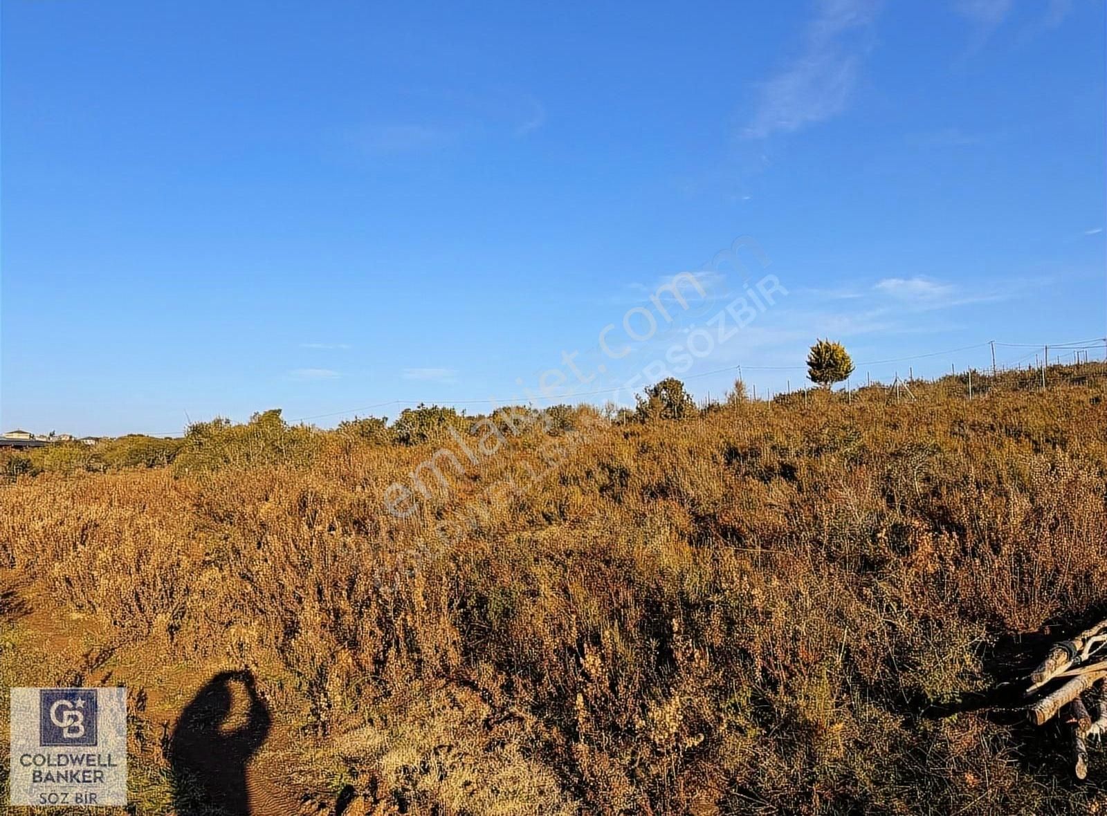 Beykoz Rivada Konut İmarlı 1754m2 İnşaat Alanı 570m2satılık Arsa - Görsel 5