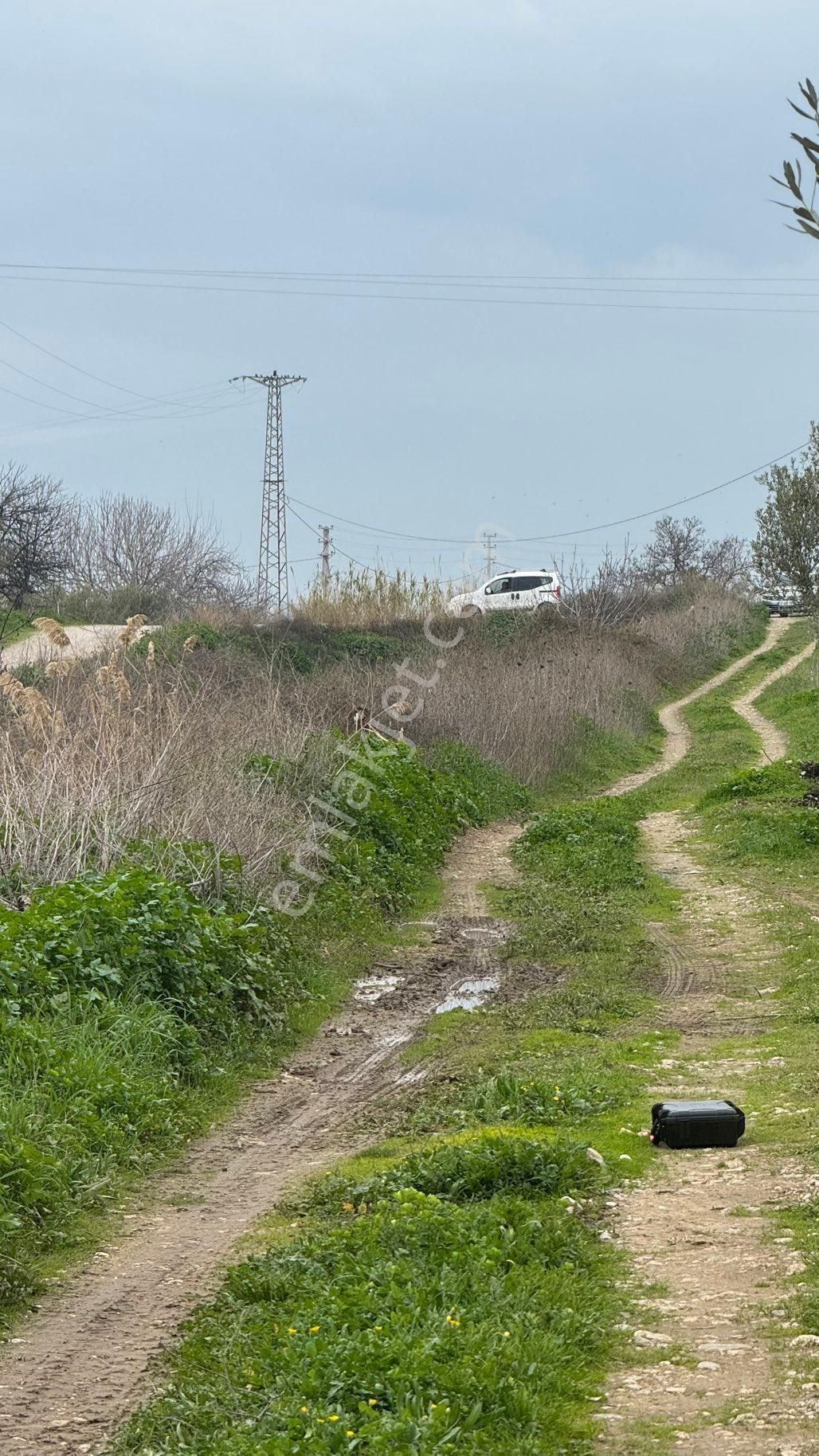 Beyaz Gayrimenkulden Satılık Karaoğlanlı 8.300 M2 Zeytinlik - Görsel 15