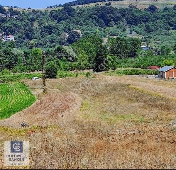 Şile Kalem Satılık Tarla Şile Ağva Kalem Köyde Asfalt Yola Cephe Satılık Tarla