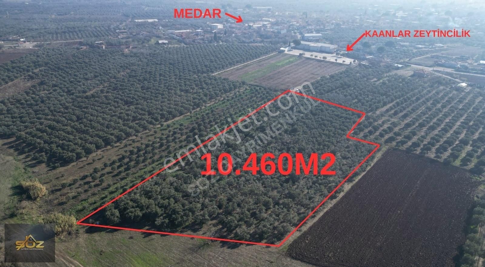 Akhisar Medar Satılık Zeytinlik Medarda 10.460m2 İmara 100mt Tek Tapu Satılık Zeytinlik