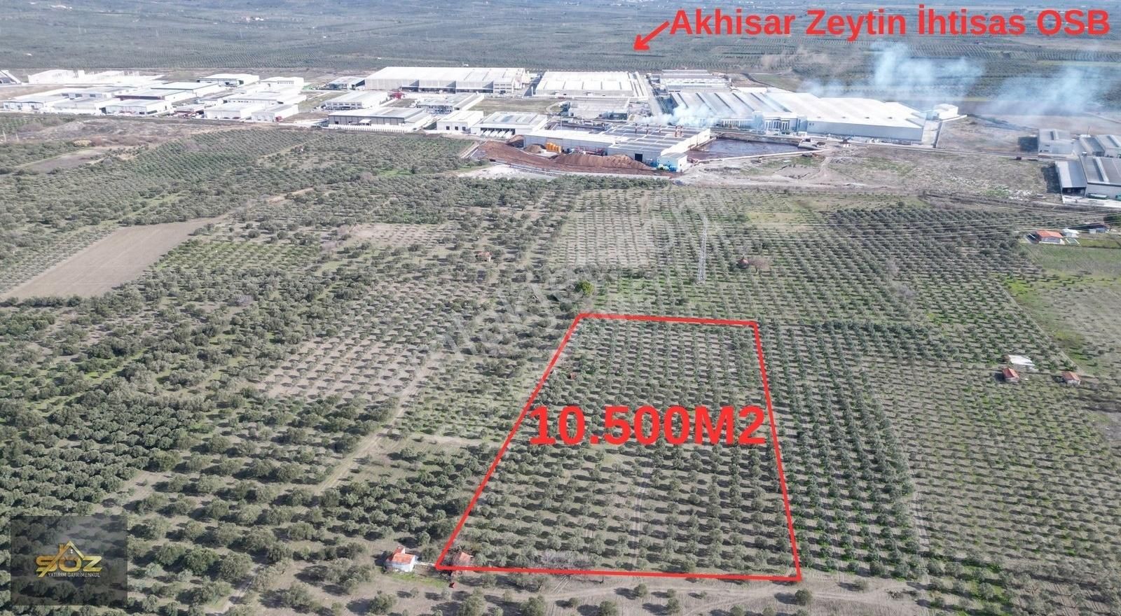 Akhisar Süleymanlı Satılık Zeytinlik Süleymanlı 10.500m2 Zeytin Borsası Dibi Satılık Zeytinlik