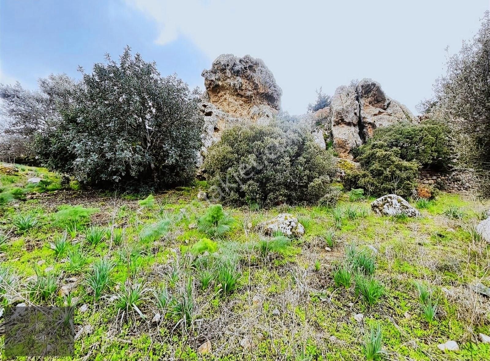 Gündoğan'da Satılık Yatırımlık Arazi - Görsel 10